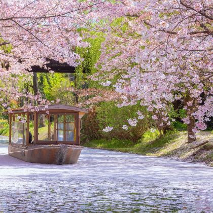 日本大阪+京都6日5晚跟团游 日本大阪+京都6日5晚跟团游