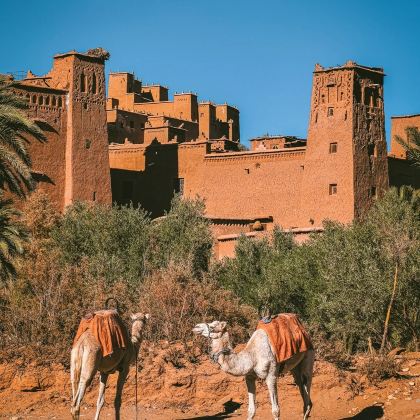 摩洛哥撒哈拉沙漠+非斯+舍夫沙万+卡萨布兰卡9日7晚私家团 摩洛哥撒哈拉沙漠+非斯+舍夫沙万+卡萨布兰卡9日7晚私家团