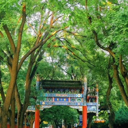 中国北京5日4晚拼小团 中国北京5日4晚拼小团