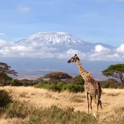 肯尼亚内罗毕+马赛马拉国家公园+纳库鲁+奈瓦沙+安波塞利国家公园9日7晚拼小团