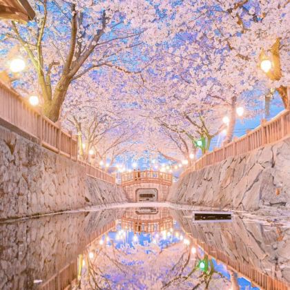 大阪+京都+神户+奈良+名古屋+宇治市6日5晚私家团 大阪+京都+神户+奈良+名古屋+宇治市6日5晚私家团