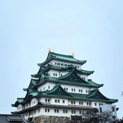 日本名古屋+飞驒高山+白川乡+伊势市+马笼宿5日4晚跟团游 日本名古屋+飞驒高山+白川乡+伊势市+马笼宿5日4晚跟团游