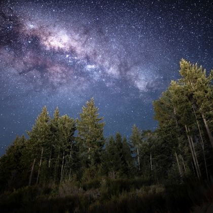 澳大利亚悉尼+黄金海岸11日10晚私家团 澳大利亚悉尼+黄金海岸11日10晚私家团