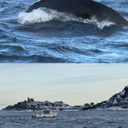 伊尔库茨克+奥尔洪岛4日3晚拼小团 伊尔库茨克+奥尔洪岛4日3晚拼小团