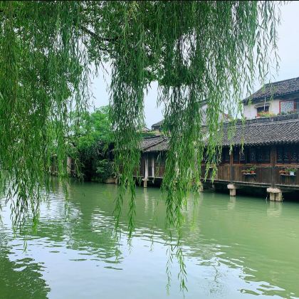上海+苏州+杭州+上海迪士尼度假区+乌镇6日5晚跟团游