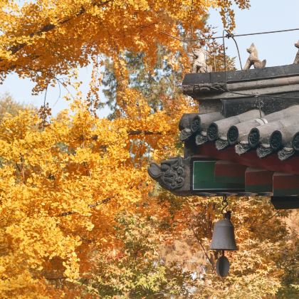 北京5日4晚自由行 北京5日4晚自由行