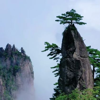 黄山+宏村+西递+徽州古城5日4晚自由行 黄山+宏村+西递+徽州古城5日4晚自由行