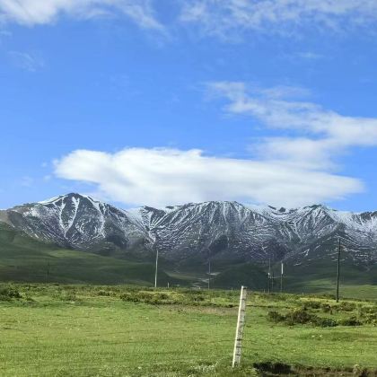 甘肃甘南+拉卜楞寺+黄河九曲第一湾+扎尕那+官鹅沟大景区+麦积山石窟+莲宝叶则景区+天水+平凉10日9晚私家团 甘肃甘南+拉卜楞寺+黄河九曲第一湾+扎尕那+官鹅沟大景区+麦积山石窟+莲宝叶则景区+天水+平凉10日9晚私家团