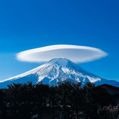 日本东京5日4晚私家团 日本东京5日4晚私家团