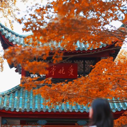 长沙+岳麓书院+橘子洲景区+湖南省博物馆+花明楼景区+刘少奇故里+韶山旅游区+毛泽东同志故居+滴水洞3日2晚跟团游 长沙+岳麓书院+橘子洲景区+湖南省博物馆+花明楼景区+刘少奇故里+韶山旅游区+毛泽东同志故居+滴水洞3日2晚跟团游