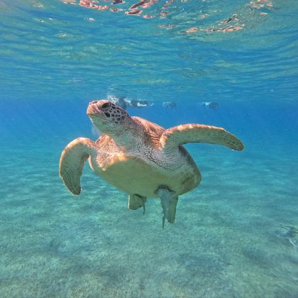 阿莱姆港+Marsa Alam Divers+Qesm Marsa Alam3日2晚跟团游 阿莱姆港+Marsa Alam Divers+Qesm Marsa Alam3日2晚跟团游