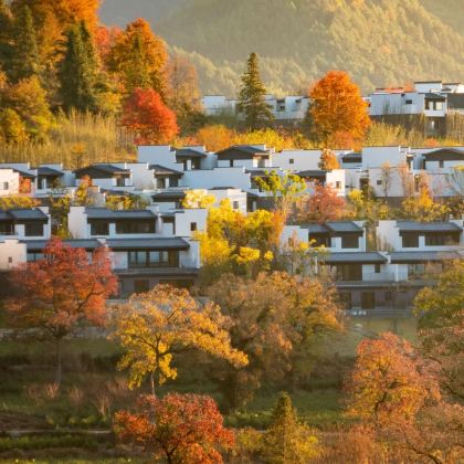 安徽黄山+卢村+塔川4日3晚自由行 安徽黄山+卢村+塔川4日3晚自由行