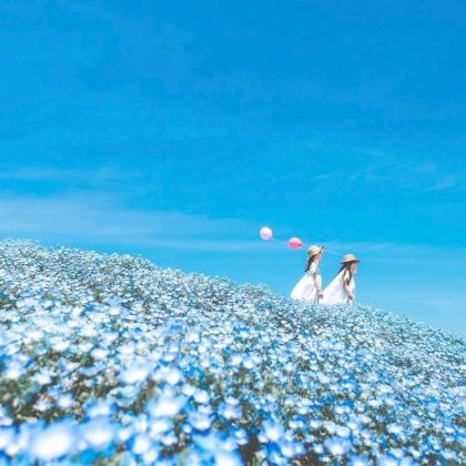 日本东京+日光市+新潟7日6晚私家团 日本东京+日光市+新潟7日6晚私家团