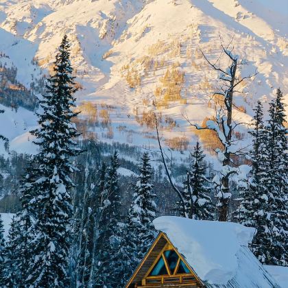 新疆乌鲁木齐+北疆10日9晚跟团游 新疆乌鲁木齐+北疆10日9晚跟团游