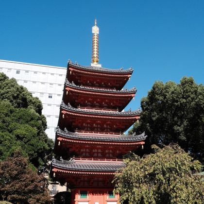日本7日6晚私家团 日本7日6晚私家团