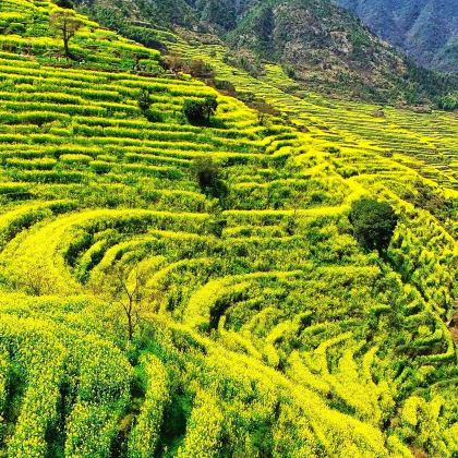 江西南昌+庐山风景名胜区+鄱阳湖+景德镇+婺源+三清山风景区8日7晚私家团 江西南昌+庐山风景名胜区+鄱阳湖+景德镇+婺源+三清山风景区8日7晚私家团