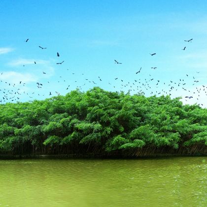 肇庆+江门+开平+新会区3日2晚拼小团 肇庆+江门+开平+新会区3日2晚拼小团