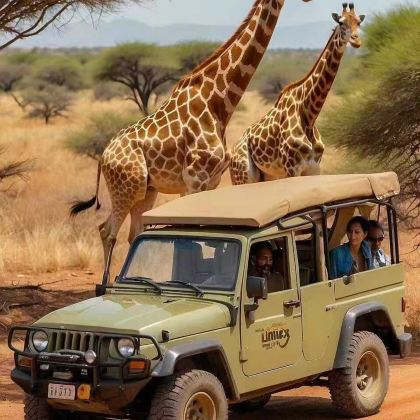 肯尼亚10日私家团 肯尼亚10日私家团