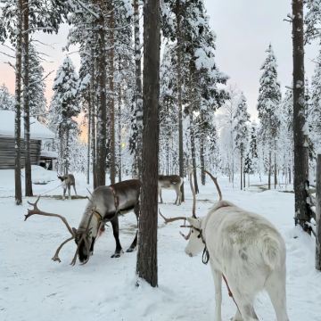 芬兰+瑞典+挪威11日拼小团 芬兰+瑞典+挪威11日拼小团