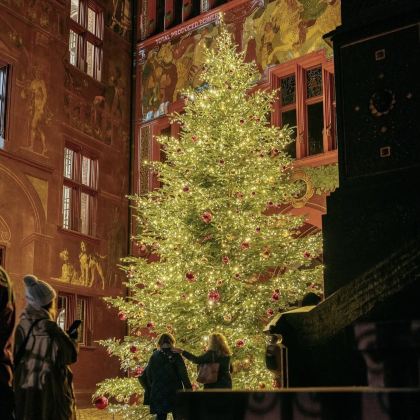 法国+瑞士+意大利11日9晚私家团 法国+瑞士+意大利11日9晚私家团