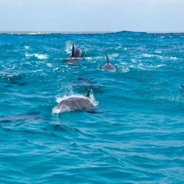 纳米比亚+埃托沙国家公园+鲸湾海滨+箭袋树森林和巨人游乐场+纳米布沙漠+辛巴红泥人部落12日私家团 纳米比亚+埃托沙国家公园+鲸湾海滨+箭袋树森林和巨人游乐场+纳米布沙漠+辛巴红泥人部落12日私家团