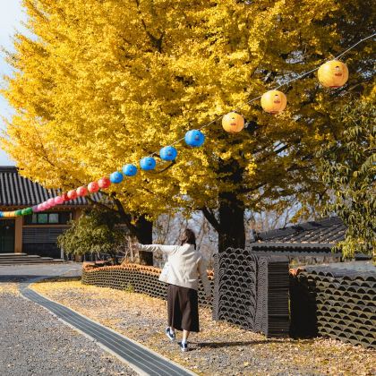韩国济州岛4日3晚私家团 韩国济州岛4日3晚私家团