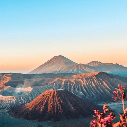 印度尼西亚泗水+巴厘岛+科莫多+罗威纳海滩+佩妮达岛8日7晚跟团游 印度尼西亚泗水+巴厘岛+科莫多+罗威纳海滩+佩妮达岛8日7晚跟团游