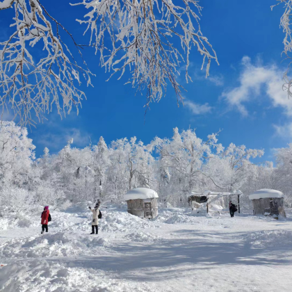 哈尔滨+雪乡5日4晚私家团 哈尔滨+雪乡5日4晚私家团