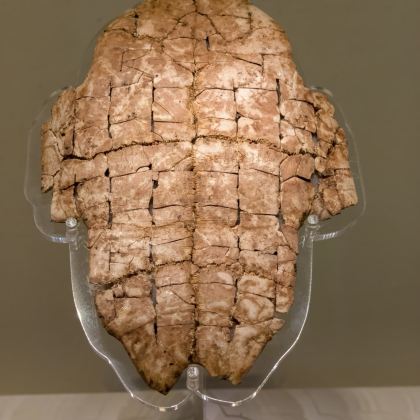 河南安阳殷墟+中国文字博物馆+红旗渠2日1晚私家团 河南安阳殷墟+中国文字博物馆+红旗渠2日1晚私家团