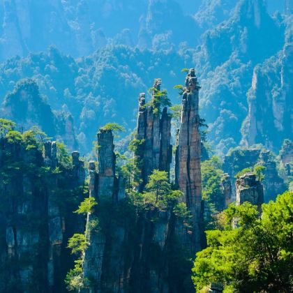 张家界国家森林公园+天门山+芙蓉镇+凤凰古城5日4晚私家团 张家界国家森林公园+天门山+芙蓉镇+凤凰古城5日4晚私家团