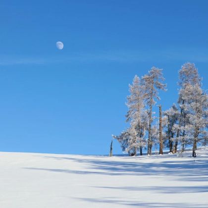 新疆乌鲁木齐+北疆8日7晚自由行 新疆乌鲁木齐+北疆8日7晚自由行