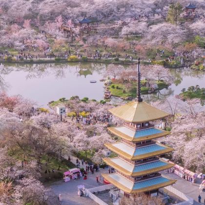 长江三峡+神农架风景区+恩施大峡谷10日9晚跟团游 长江三峡+神农架风景区+恩施大峡谷10日9晚跟团游