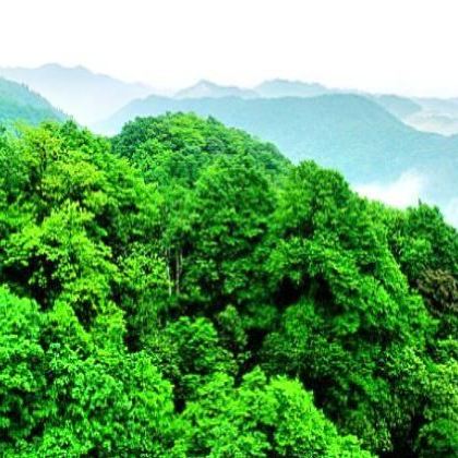 湖南张家界+常德10日9晚私家团 湖南张家界+常德10日9晚私家团