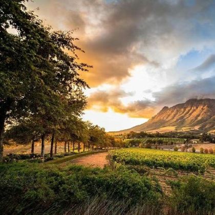 南非12日10晚私家团 南非12日10晚私家团