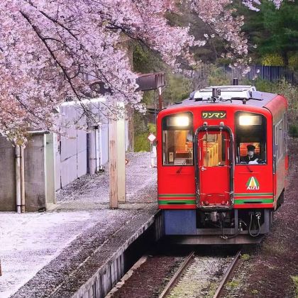 日本东京+塞班岛8日7晚私家团 日本东京+塞班岛8日7晚私家团
