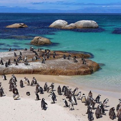 南非10日9晚私家团 南非10日9晚私家团