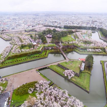 日本北海道札幌+登别熊牧场+函馆山+洞爷湖游览船+小樽天狗山+旭山动物园+白金温泉観光組合9日8晚拼小团 日本北海道札幌+登别熊牧场+函馆山+洞爷湖游览船+小樽天狗山+旭山动物园+白金温泉観光組合9日8晚拼小团