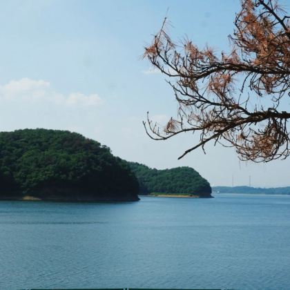 抚顺+赫图阿拉城+东岗观景台+高尔山2日1晚私家团 抚顺+赫图阿拉城+东岗观景台+高尔山2日1晚私家团