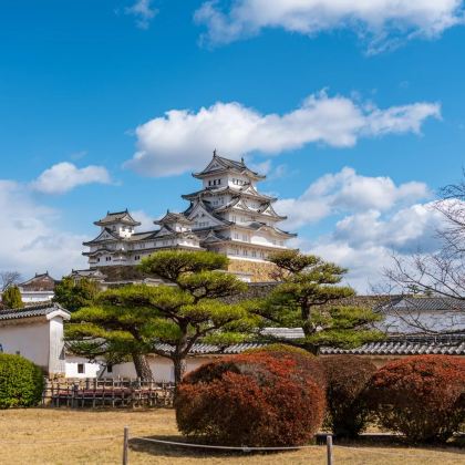日本大阪+京都+神户5日4晚跟团游 日本大阪+京都+神户5日4晚跟团游