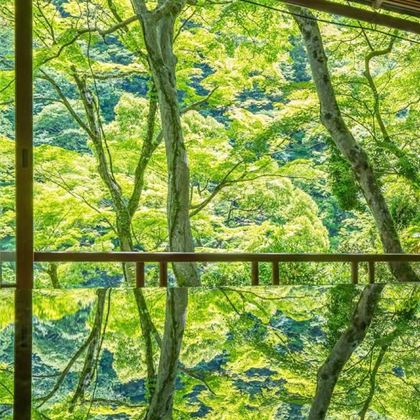 日本大阪府+京都府5日4晚自由行 日本大阪府+京都府5日4晚自由行