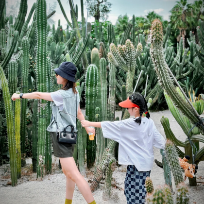 厦门+鼓浪屿+福建土楼+泉州6日5晚私家团 厦门+鼓浪屿+福建土楼+泉州6日5晚私家团