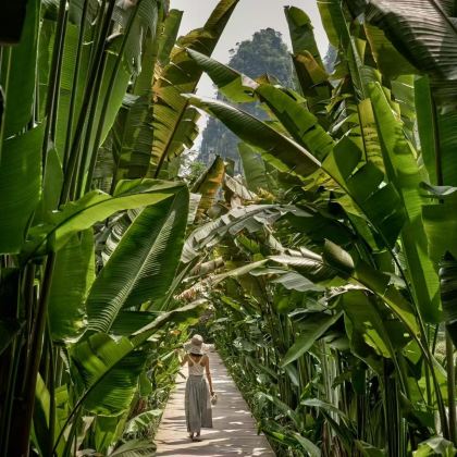 南宁+德天瀑布+明仕田园+北海6日5晚私家团 南宁+德天瀑布+明仕田园+北海6日5晚私家团