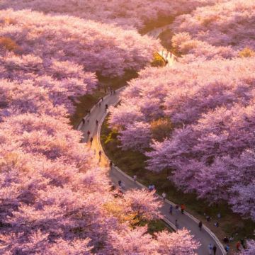 贵州贵阳+黄果树景区+荔波+西江千户苗寨5日4晚私家团 贵州贵阳+黄果树景区+荔波+西江千户苗寨5日4晚私家团