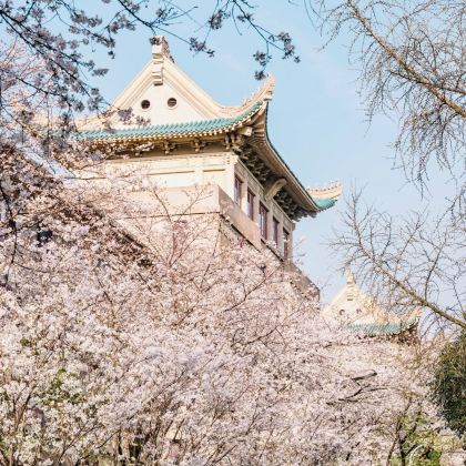 武汉+黄鹤楼+湖北省博物馆+东湖生态旅游风景区3日2晚私家团 武汉+黄鹤楼+湖北省博物馆+东湖生态旅游风景区3日2晚私家团