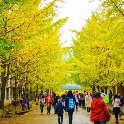 韶关丹霞山+南华禅寺+帽子峰旅游景区3日2晚私家团