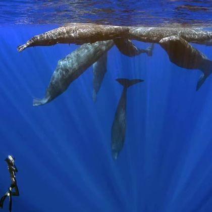 毛里求斯7日5晚私家团 毛里求斯7日5晚私家团