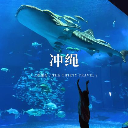 日本冲绳+冲绳美丽海水族馆5日4晚拼小团