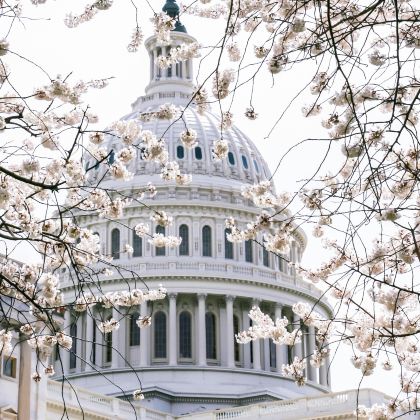 美国华盛顿+费城+纽约+波士顿7日6晚私家团 美国华盛顿+费城+纽约+波士顿7日6晚私家团