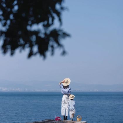 云南昆明+罗平+普者黑景区+元阳+建水5日4晚私家团 云南昆明+罗平+普者黑景区+元阳+建水5日4晚私家团