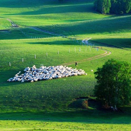 北戴河+避暑山庄+坝上+木兰围场+乌兰布统旅游区6日5晚私家团 北戴河+避暑山庄+坝上+木兰围场+乌兰布统旅游区6日5晚私家团